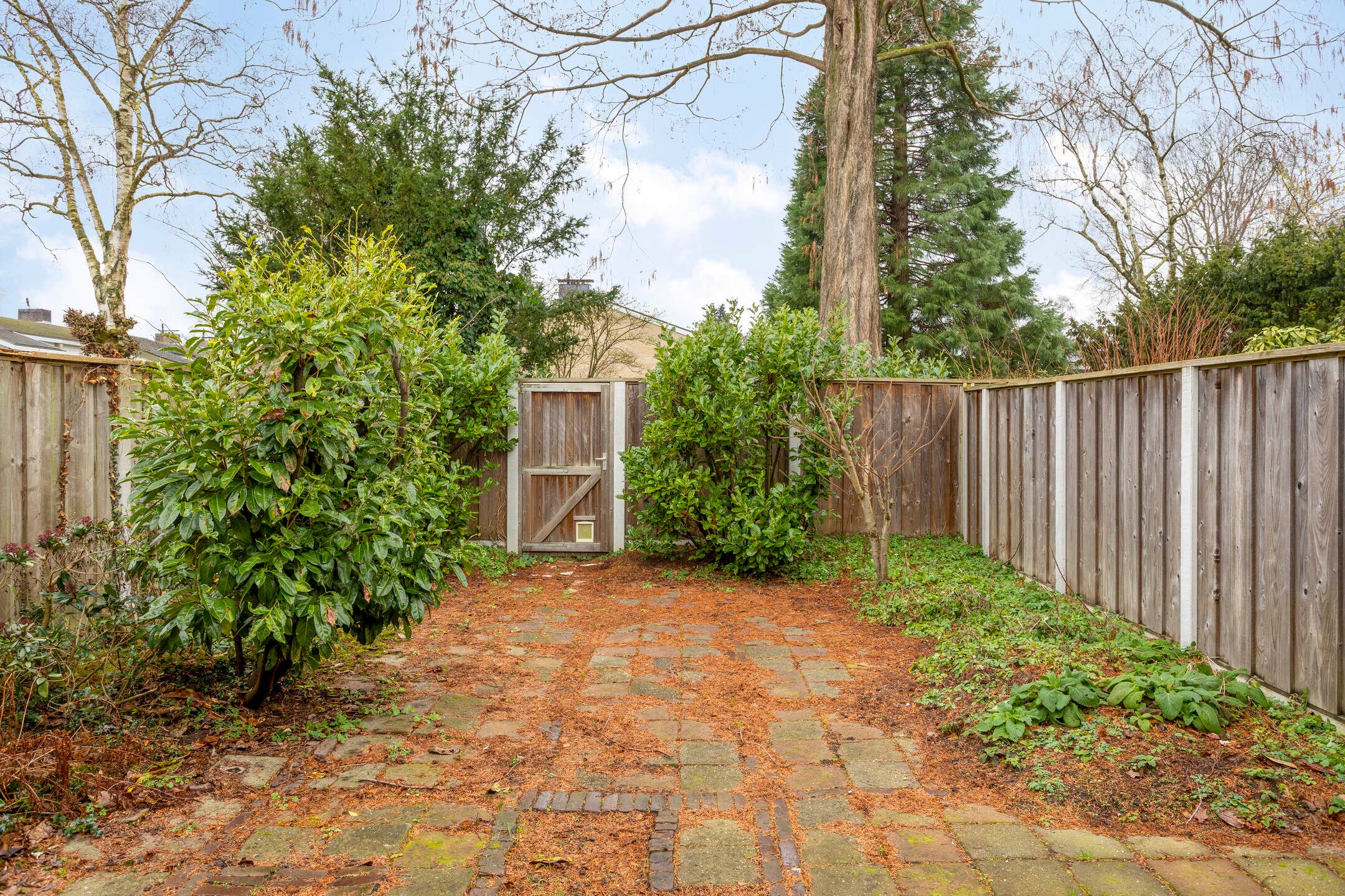 349.jpg?options=width=14405