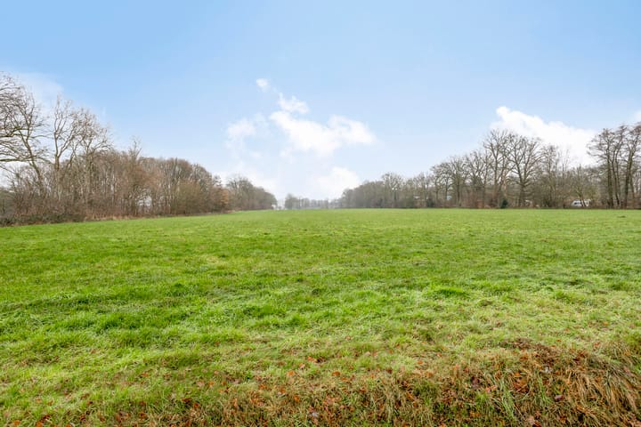 Foto 31 van Kolthofhorst 12