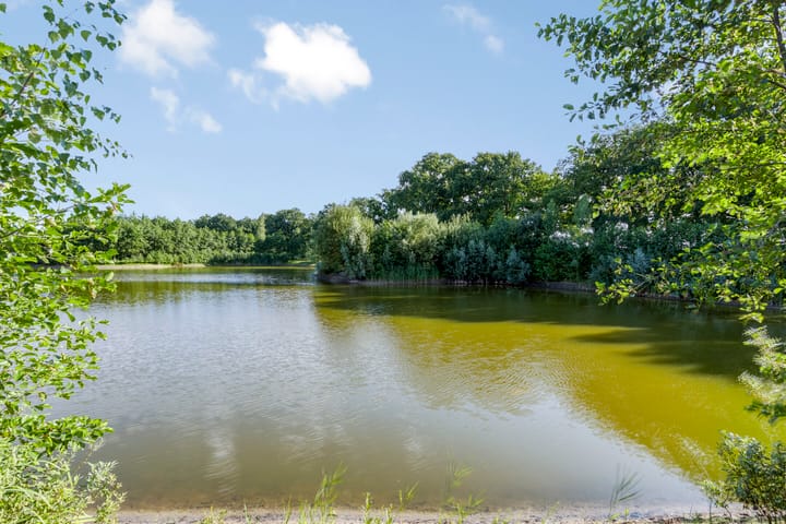 Foto 20 van Oude Ruurloseweg 2