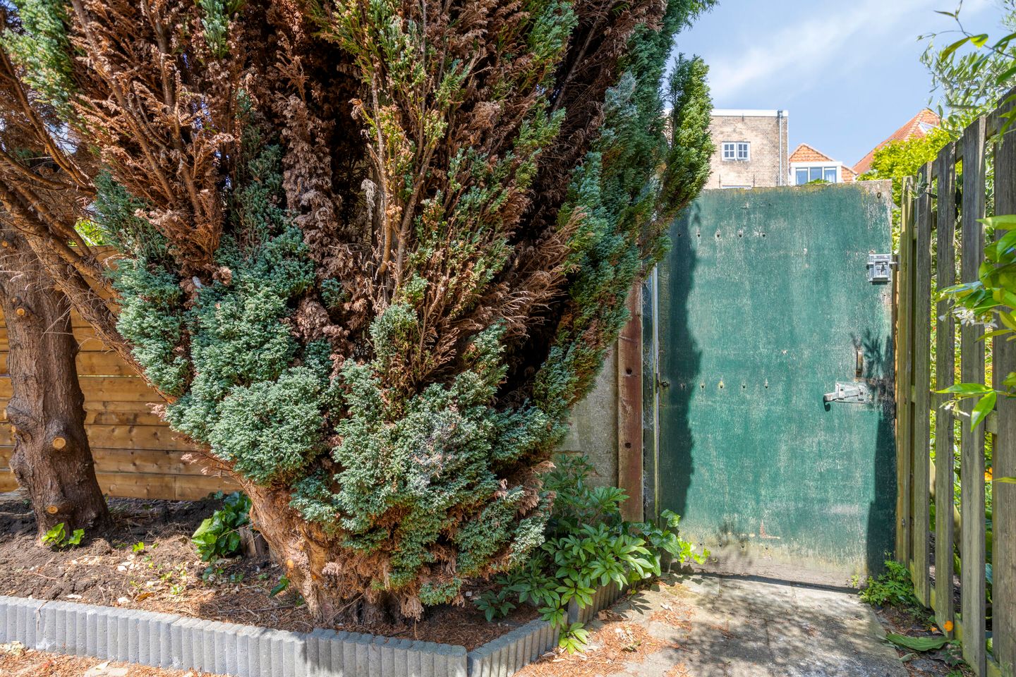 Foto 49 van Nieuwepoortstraat 5