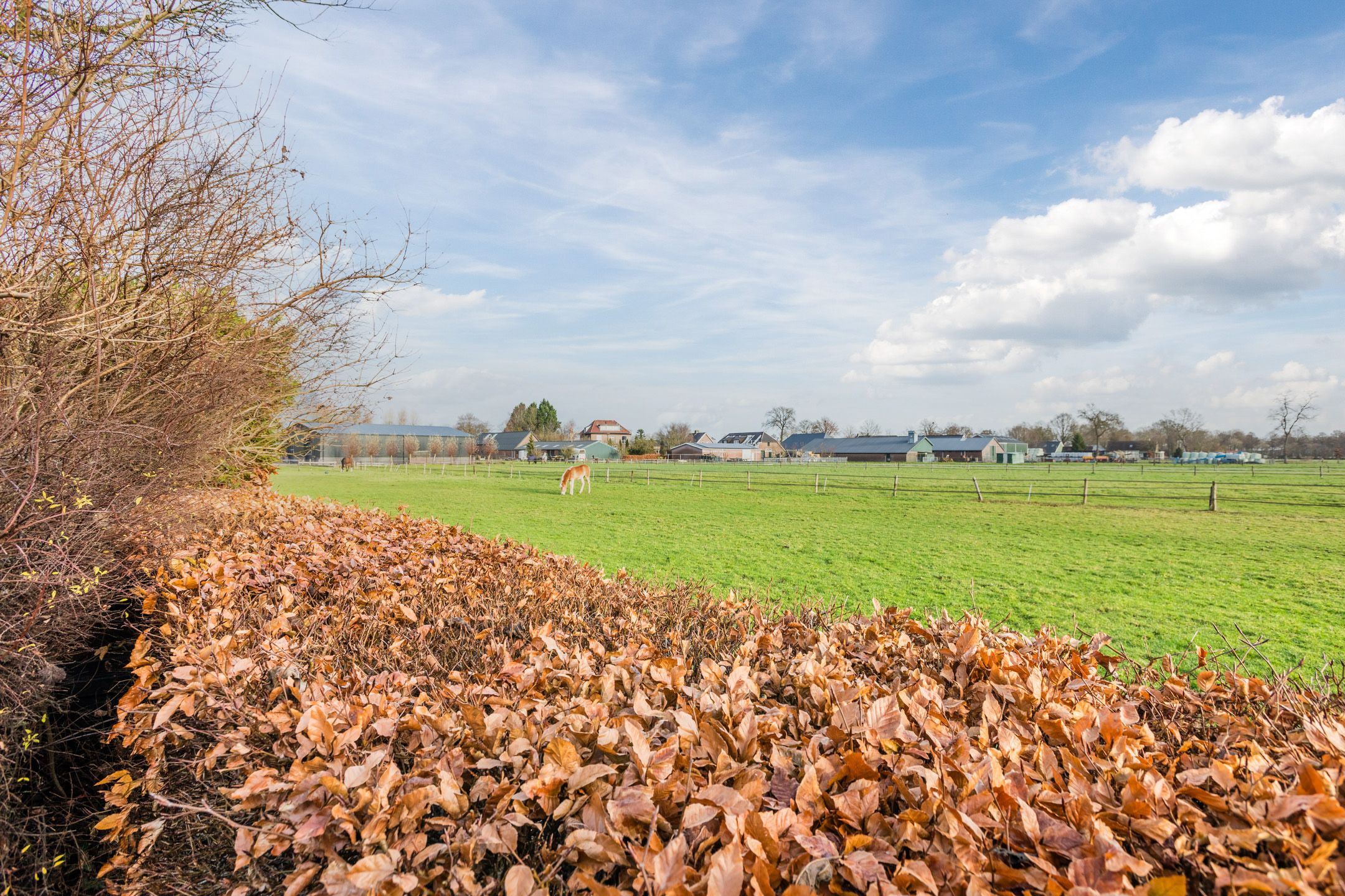 Foto 54 van De Marke van Leusen 20