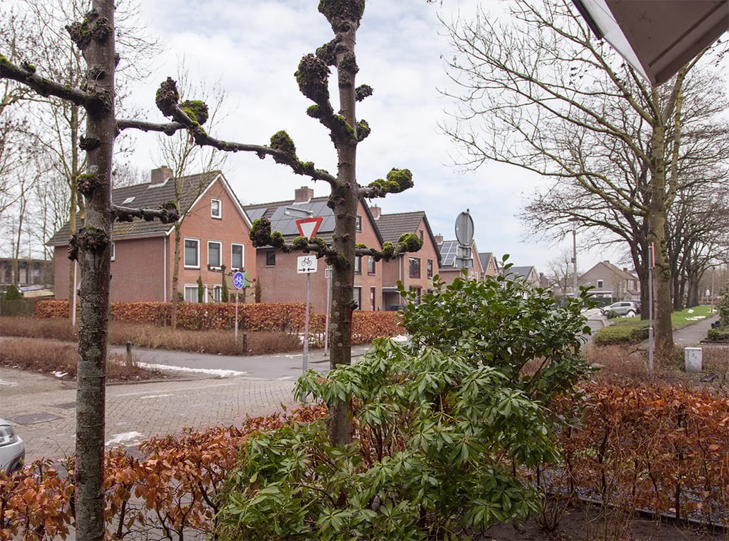 Photo 35 of Graspieper 30