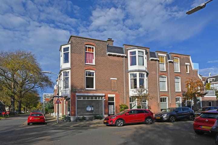 Foto 44 van Ieplaan 91