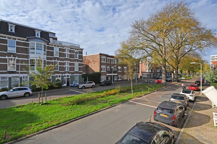 Foto 47 van Ieplaan 91