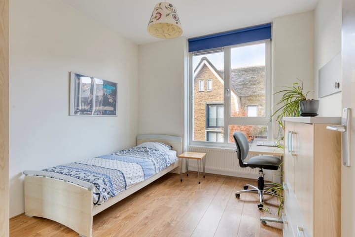 Foto 20 van Riezebezem 2