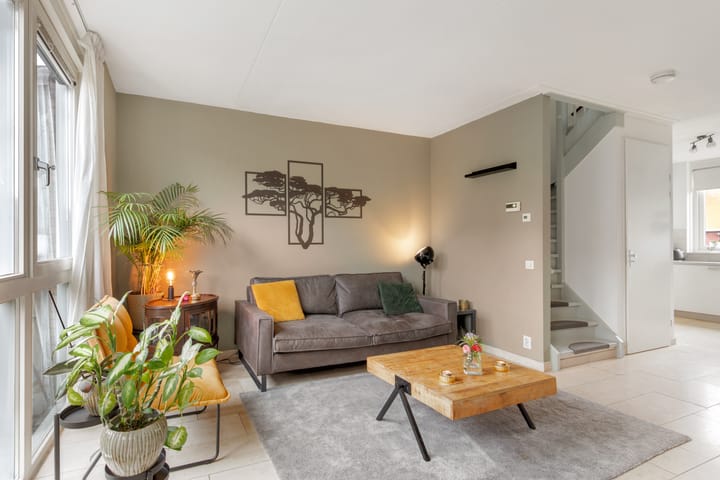 Foto 12 van Vuurvlinder 17