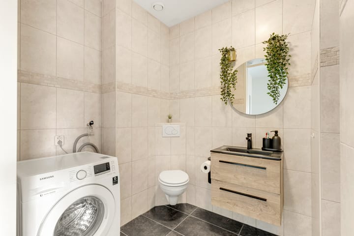 Foto 19 van Vuurvlinder 17