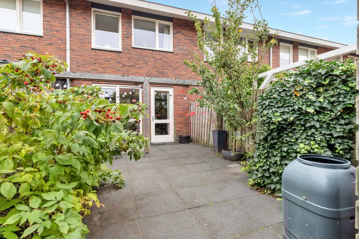 Foto 24 van Vuurvlinder 17