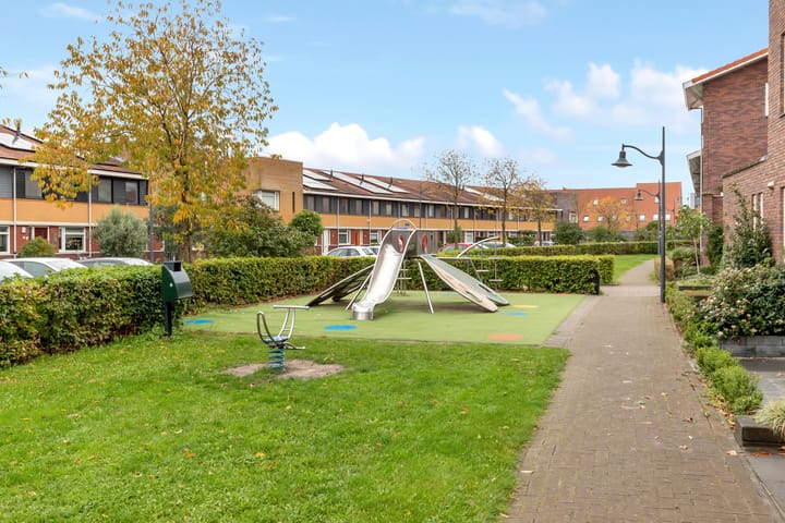 Foto 25 van Vuurvlinder 17