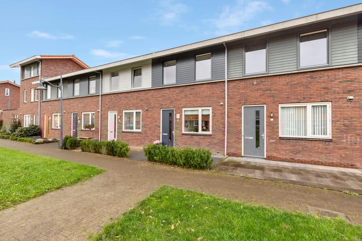 Foto 26 van Vuurvlinder 17