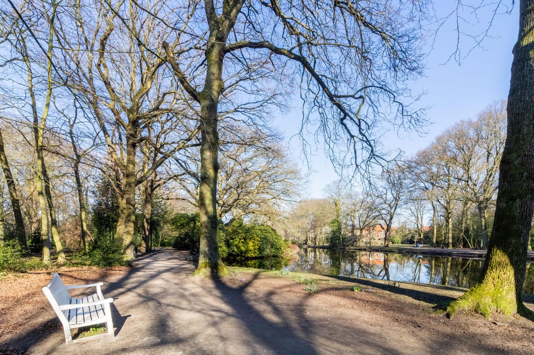 Foto 47 van Goetlijfstraat 86