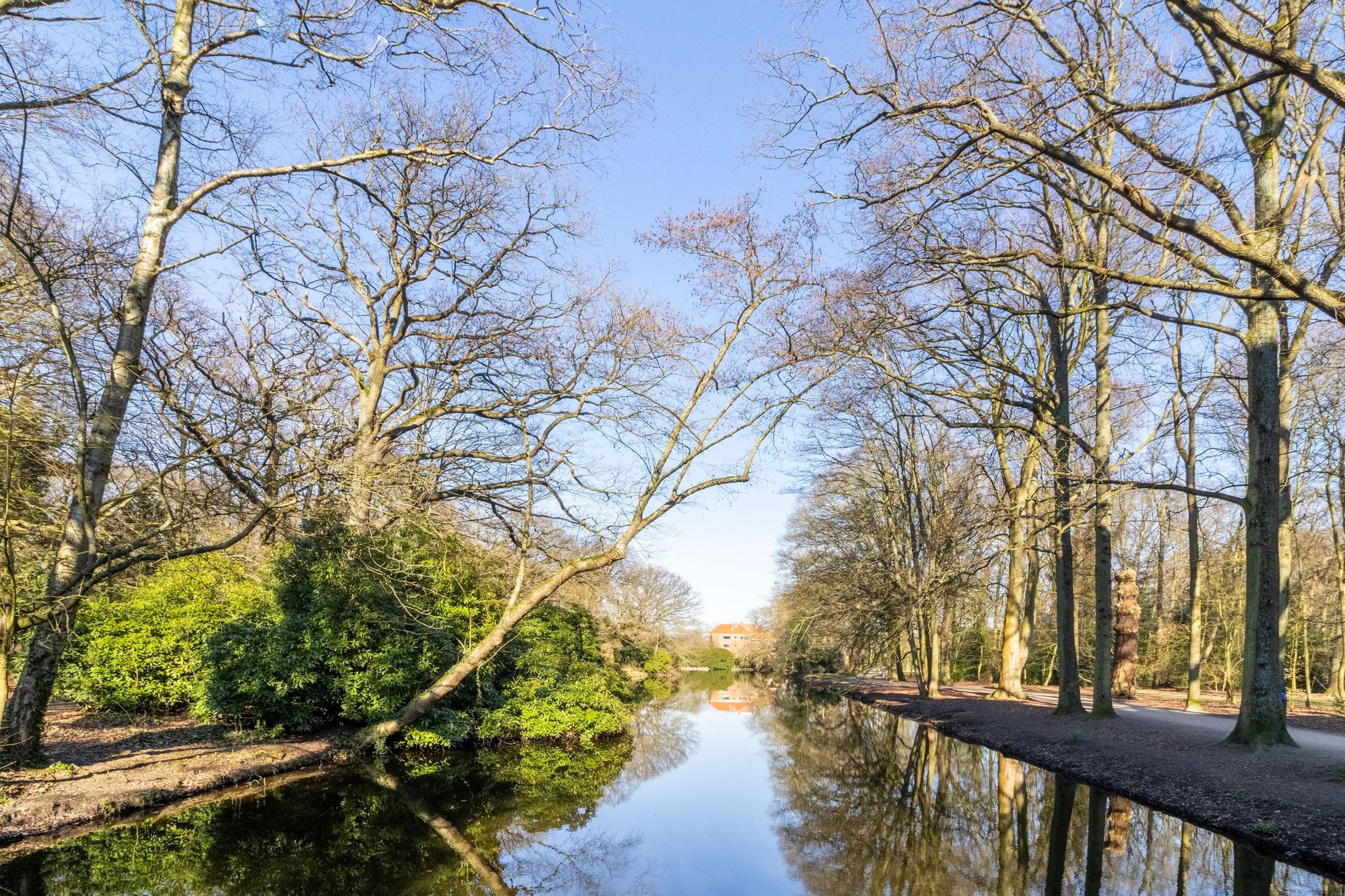 Foto 48 van Goetlijfstraat 86