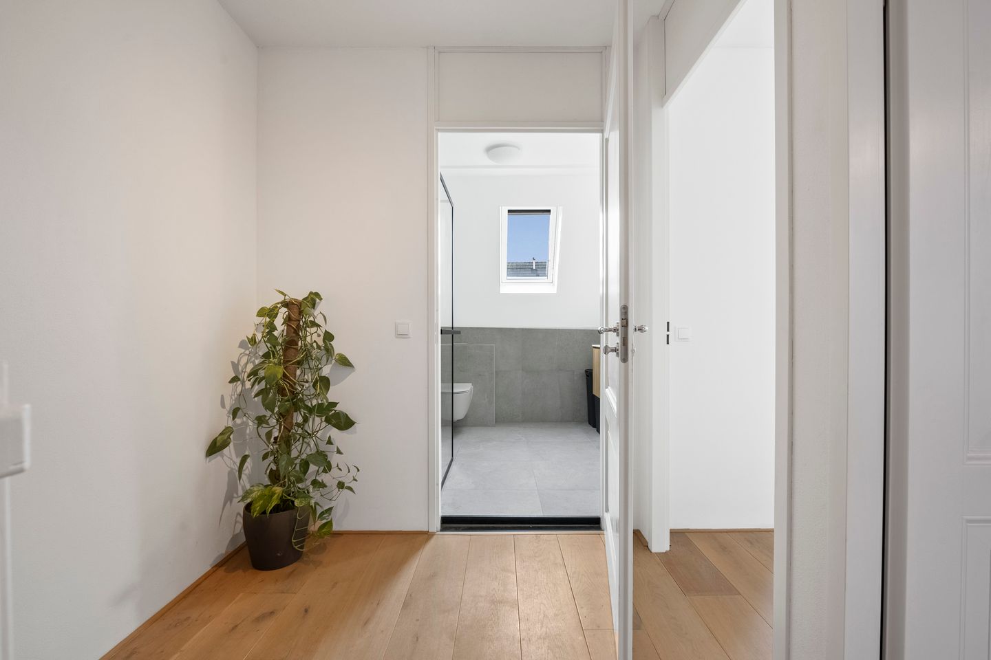 Photo 29 of Arsenaal 51