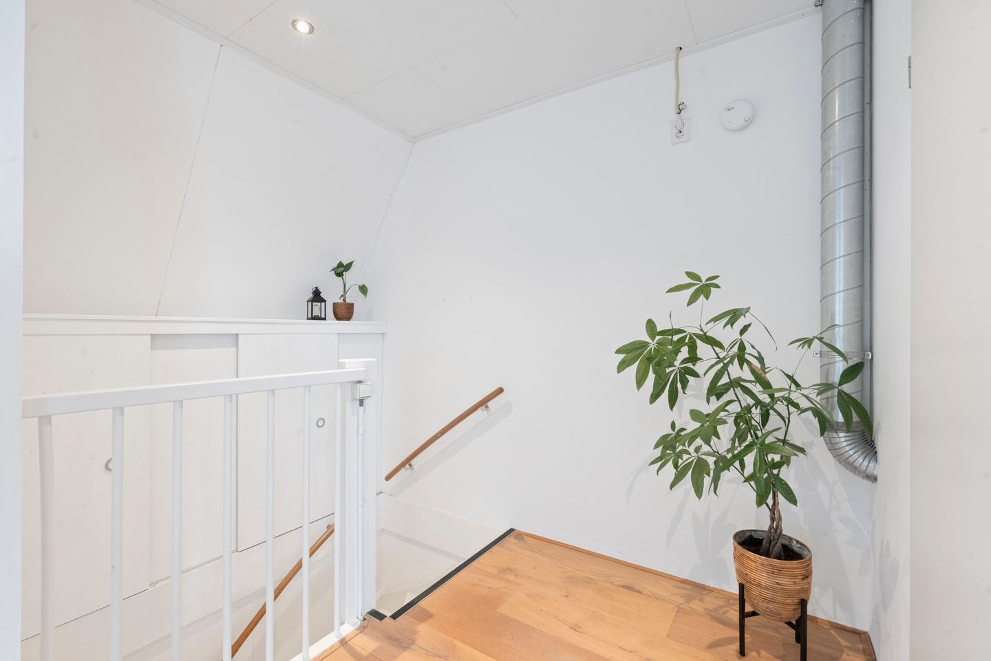 Photo 34 of Arsenaal 51