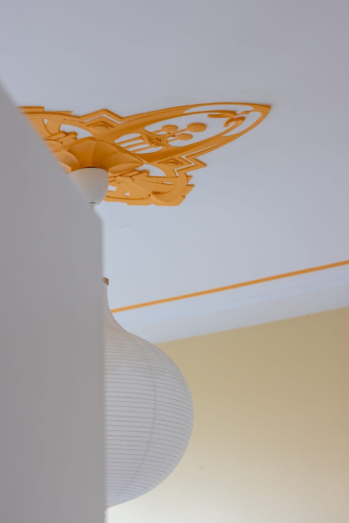 Foto 23 van Heemraadssingel 239-A