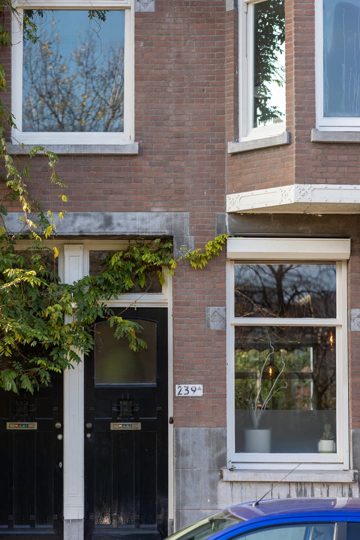 Foto 41 van Heemraadssingel 239-A