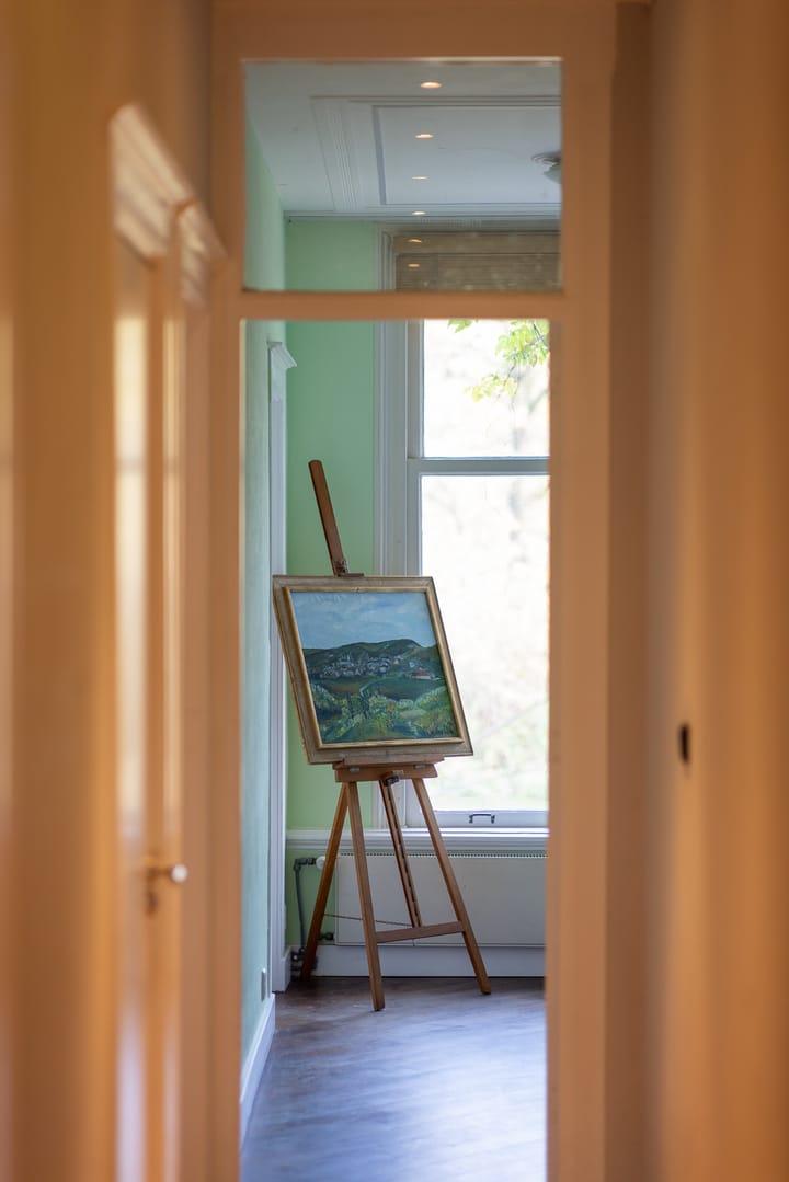 Foto 28 van Heemraadssingel 239-A