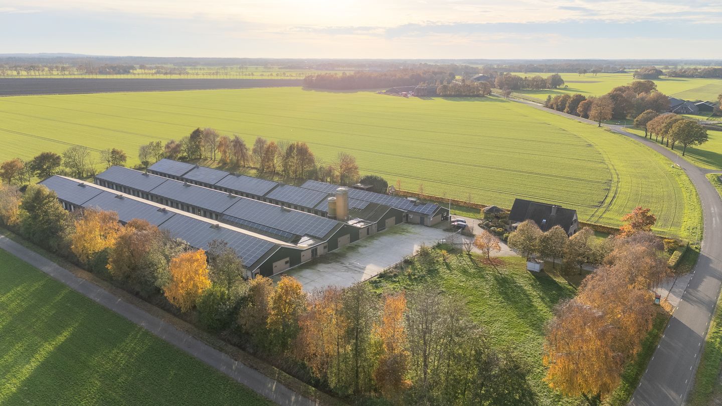 View photo 4 of Verlengde Zestiende Wijk 1