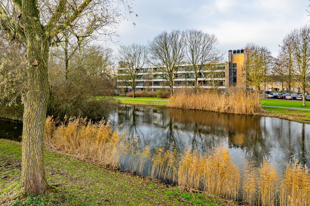 Foto 28 van Oostelijk Halfrond 47