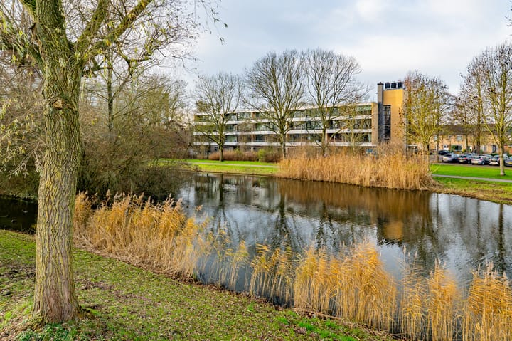 Foto 28 van Oostelijk Halfrond 47