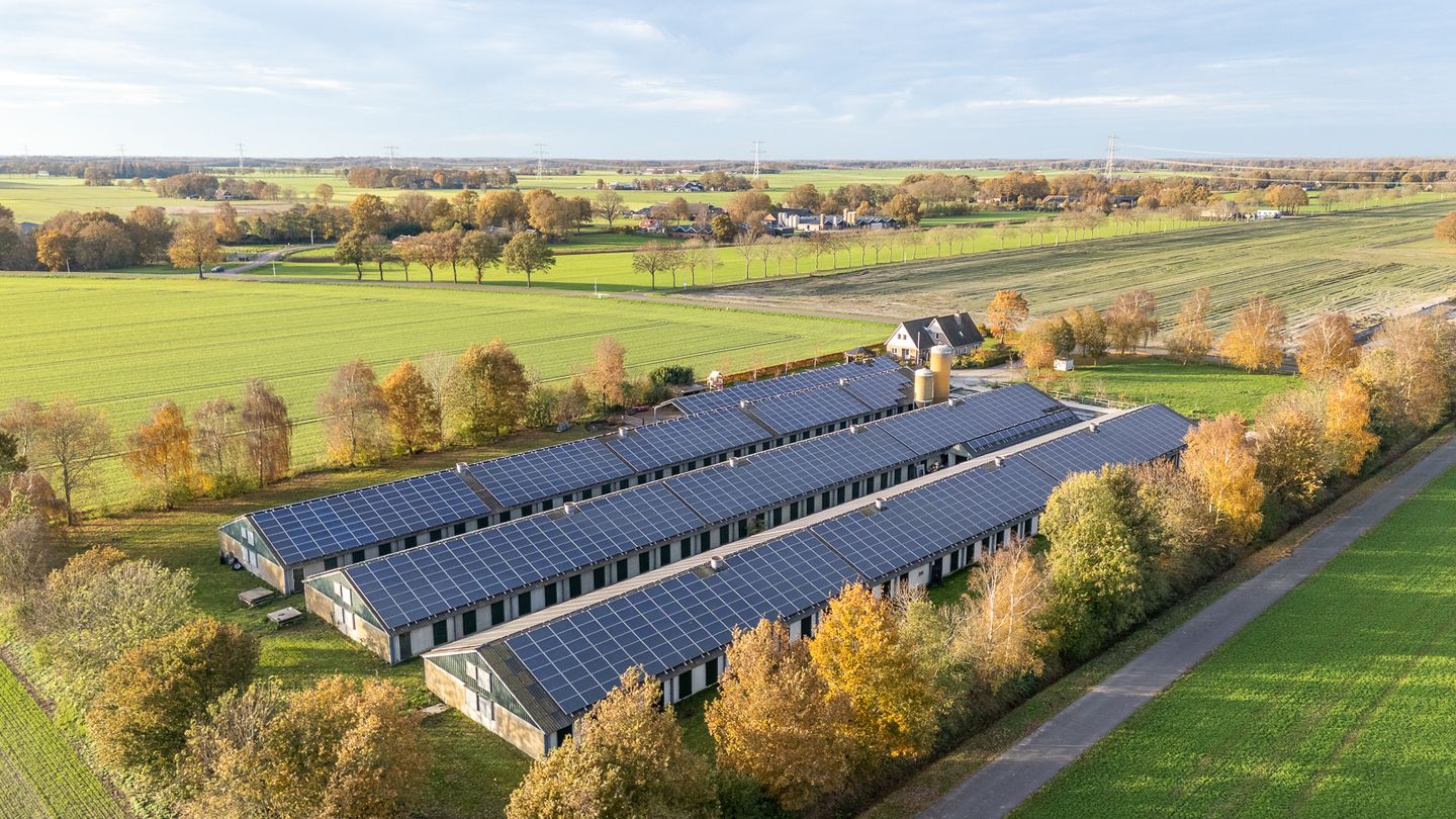 View photo 2 of Verlengde Zestiende Wijk 1