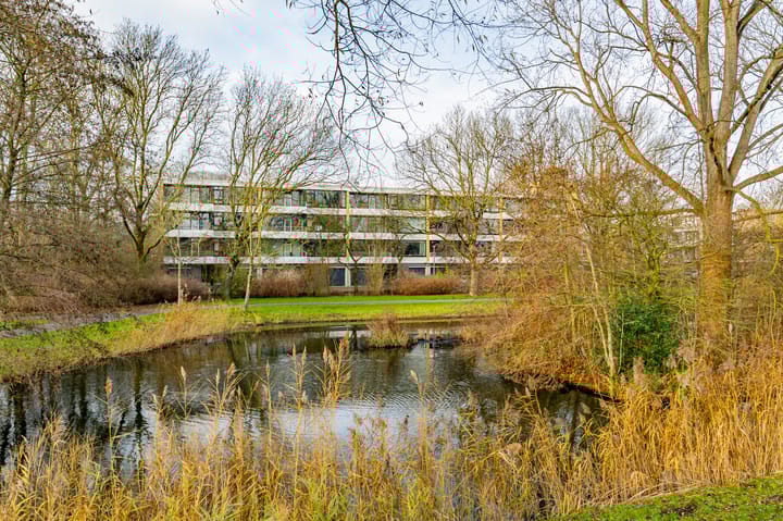 Foto 29 van Oostelijk Halfrond 47