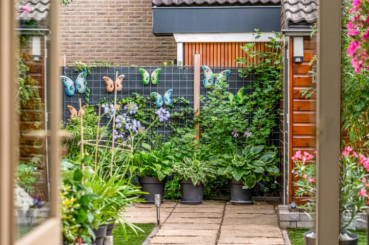 Foto 32 van De Draai 5