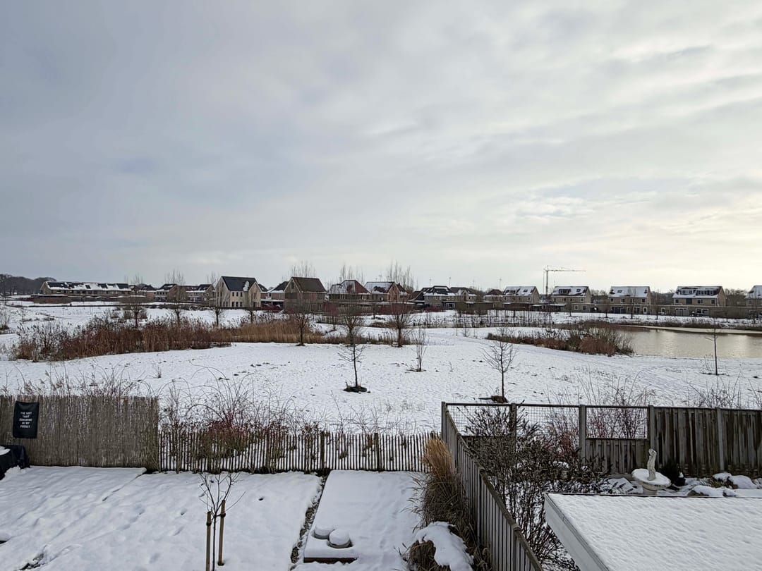 Photo 46 of Willem Mantelstraat 19