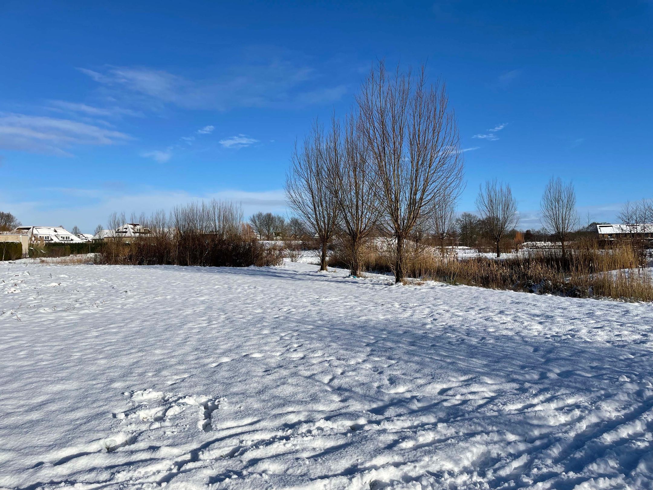 Photo 48 of Willem Mantelstraat 19