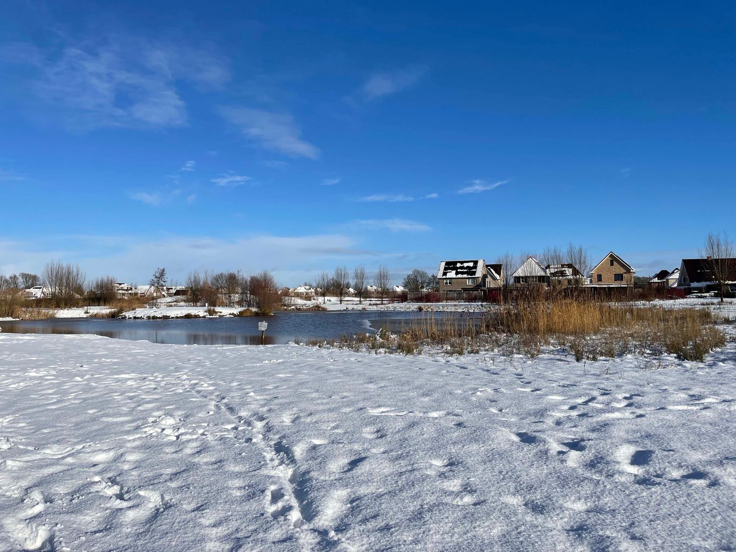 Photo 49 of Willem Mantelstraat 19