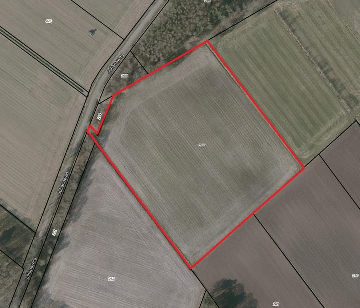 Julianaweg, Wouwse Plantage