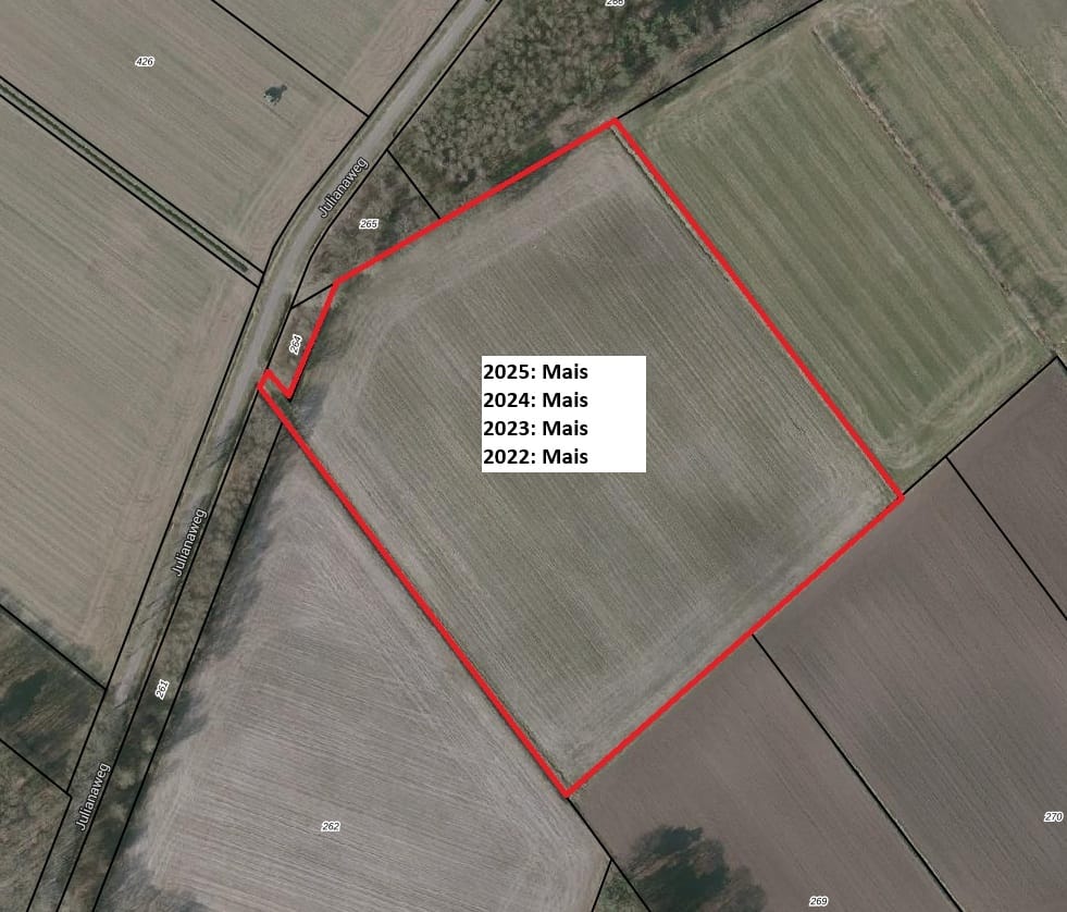 Bekijk foto 4 van Julianaweg