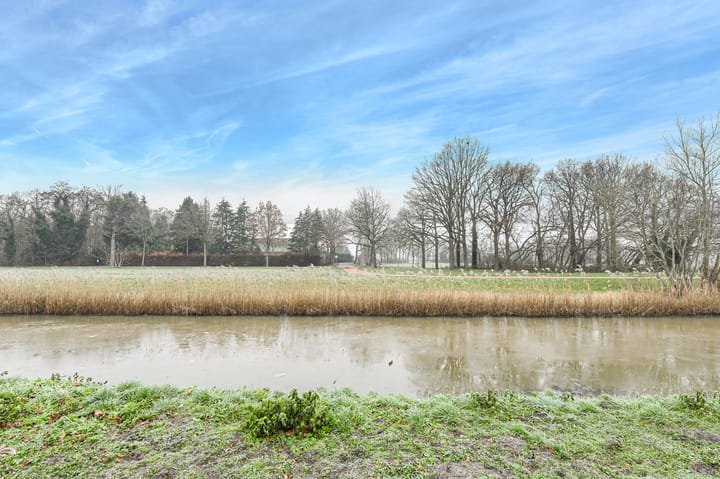 Foto 44 van Watermunt 113