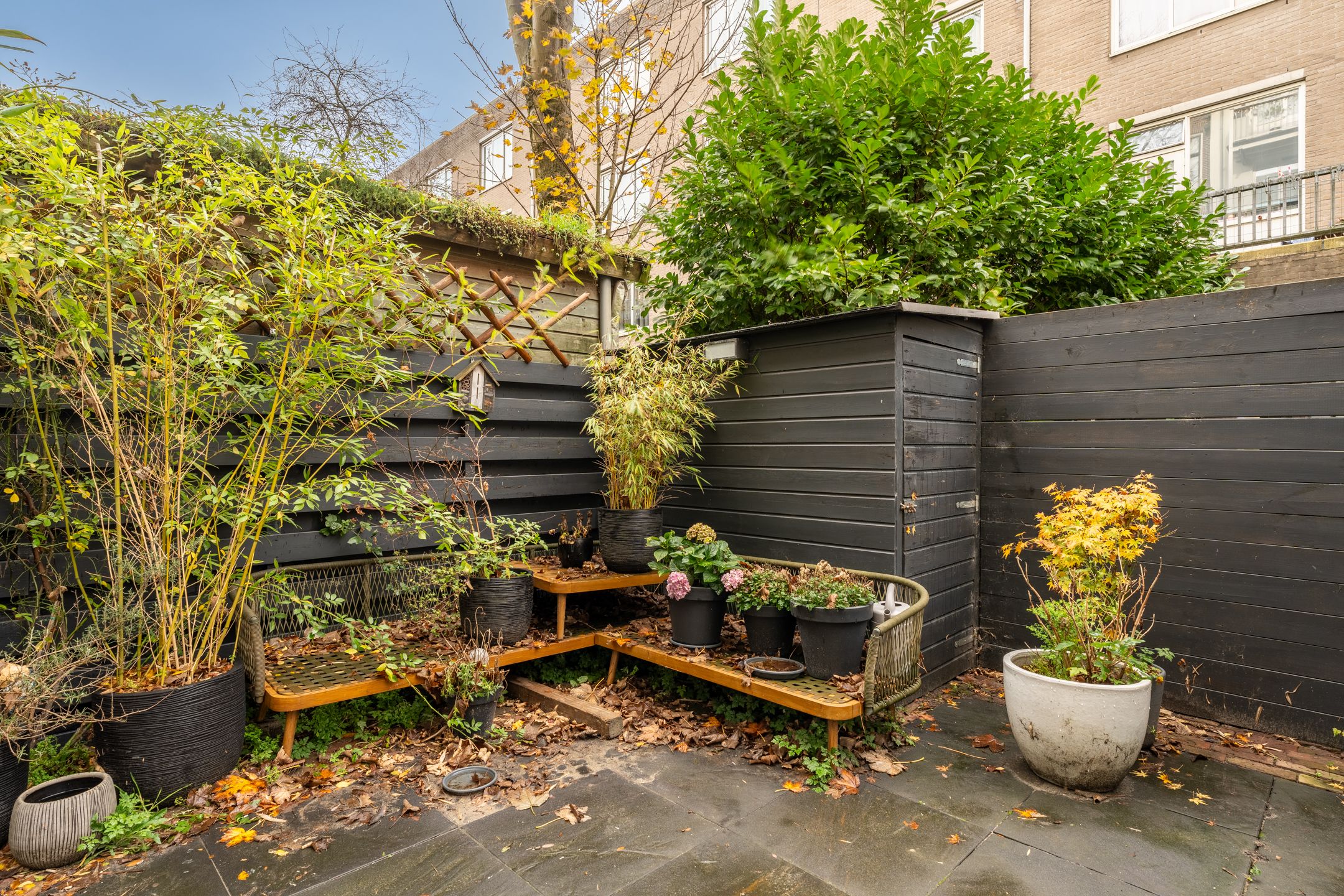 Foto 33 van Pieter Vlamingstraat 24-H