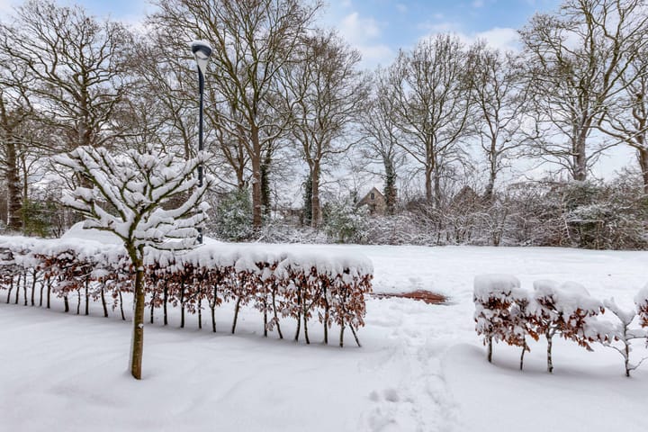 Foto 34 van Compagnie 51