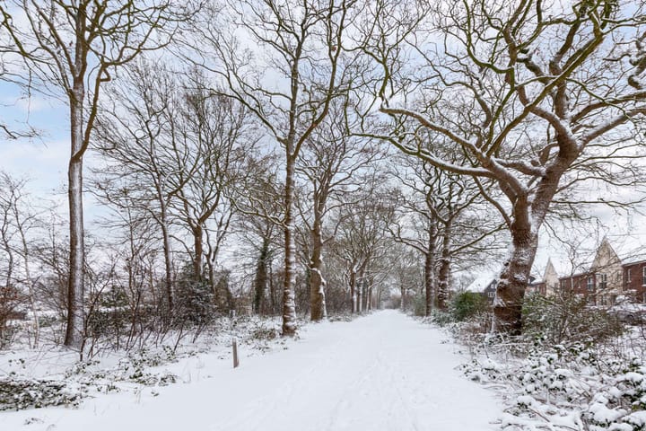 Foto 37 van Compagnie 51