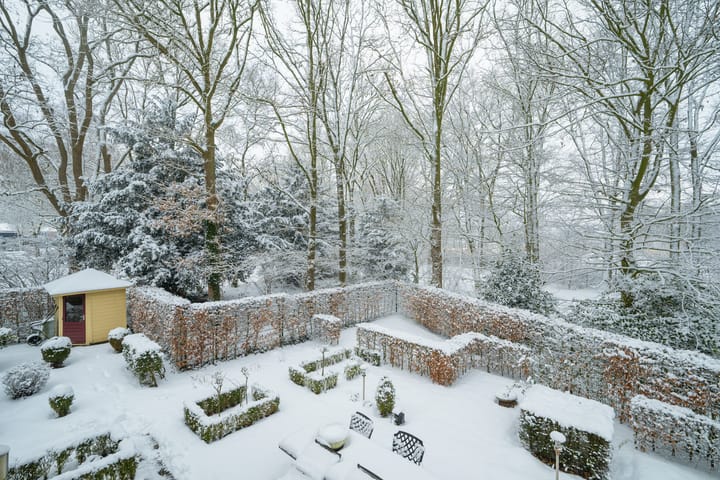 Foto 66 van Bavelselaan 331