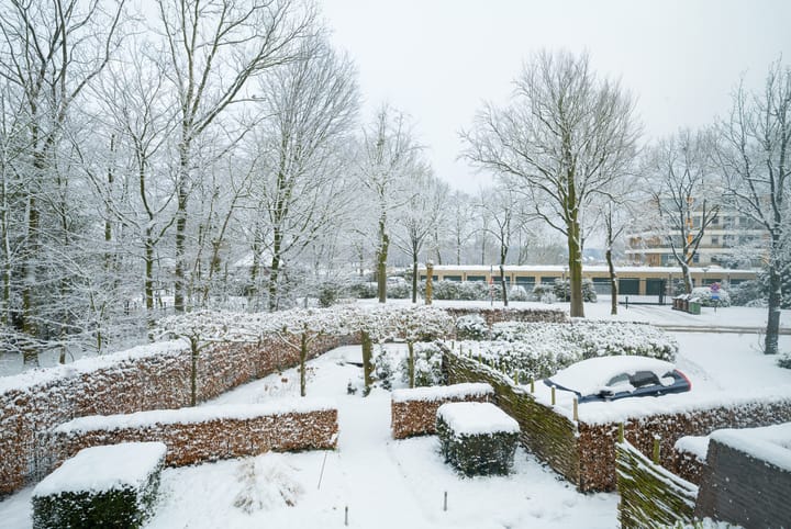 Foto 67 van Bavelselaan 331