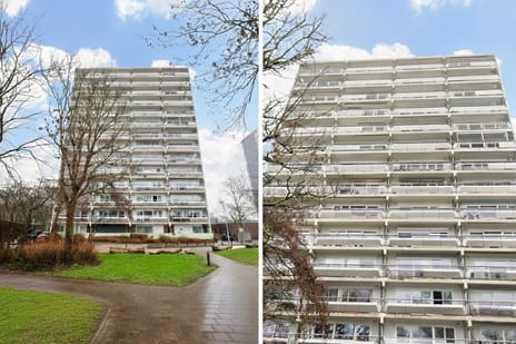 De Roerdomp thumbnail