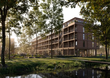 Boomhof tertiary image