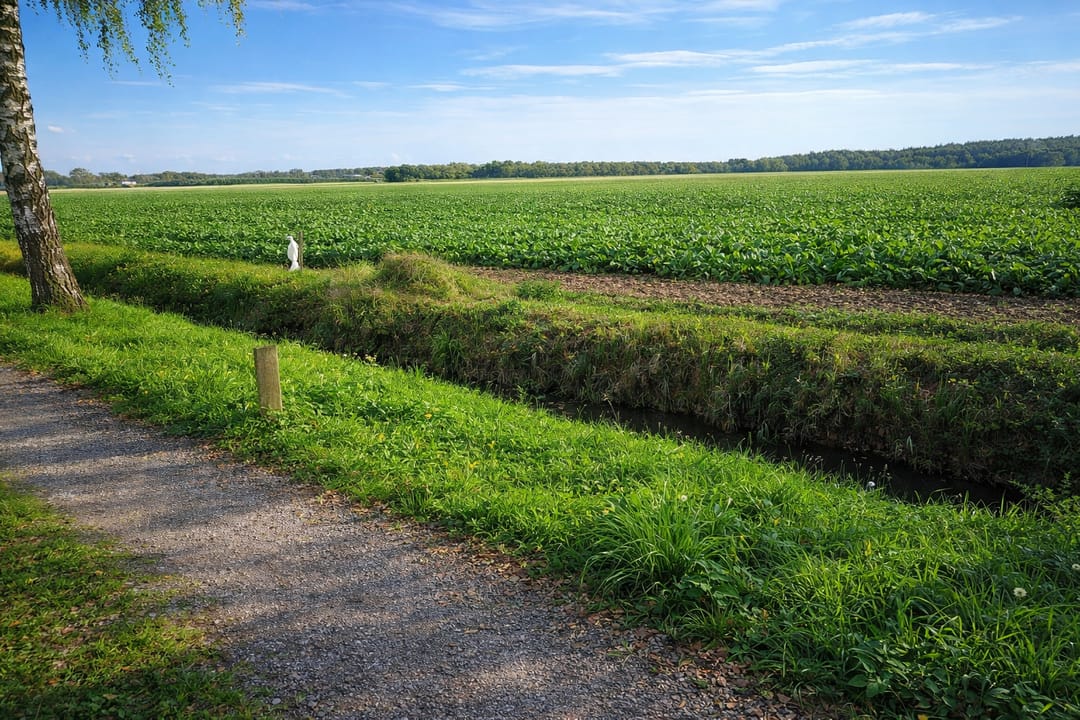 Photo 11 of De Stille Wille 323