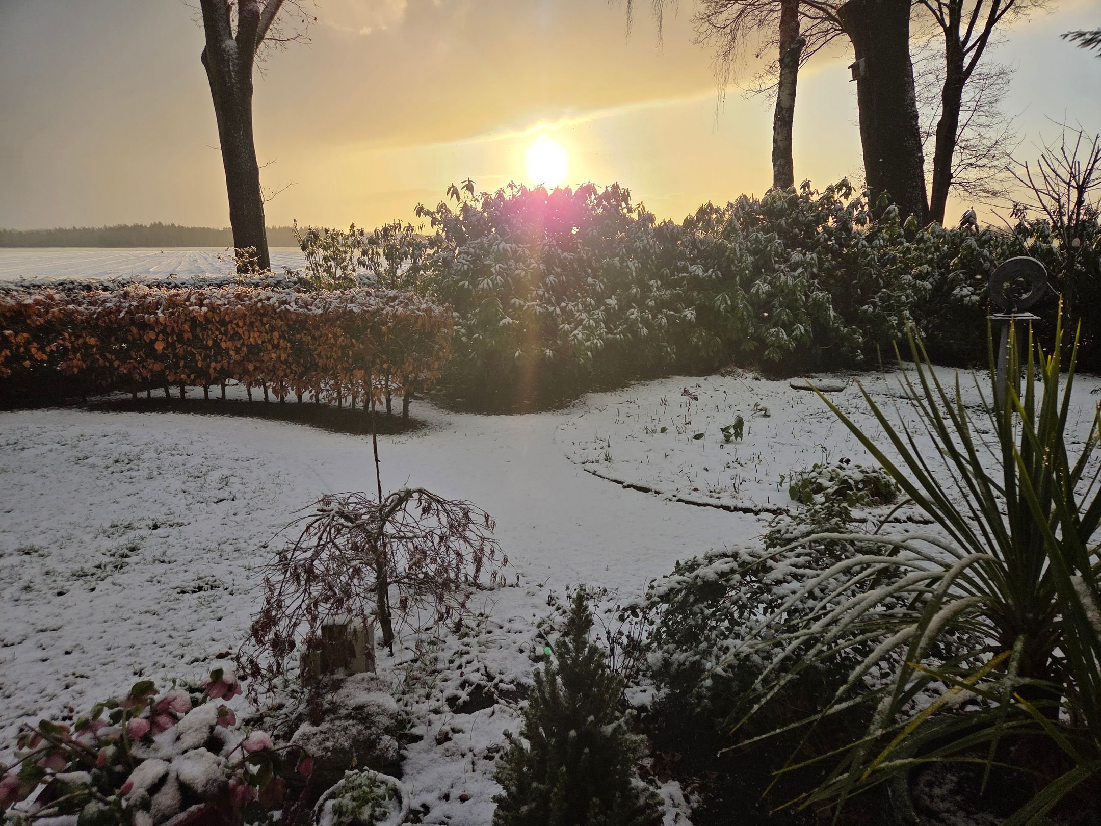 Photo 12 of De Stille Wille 323