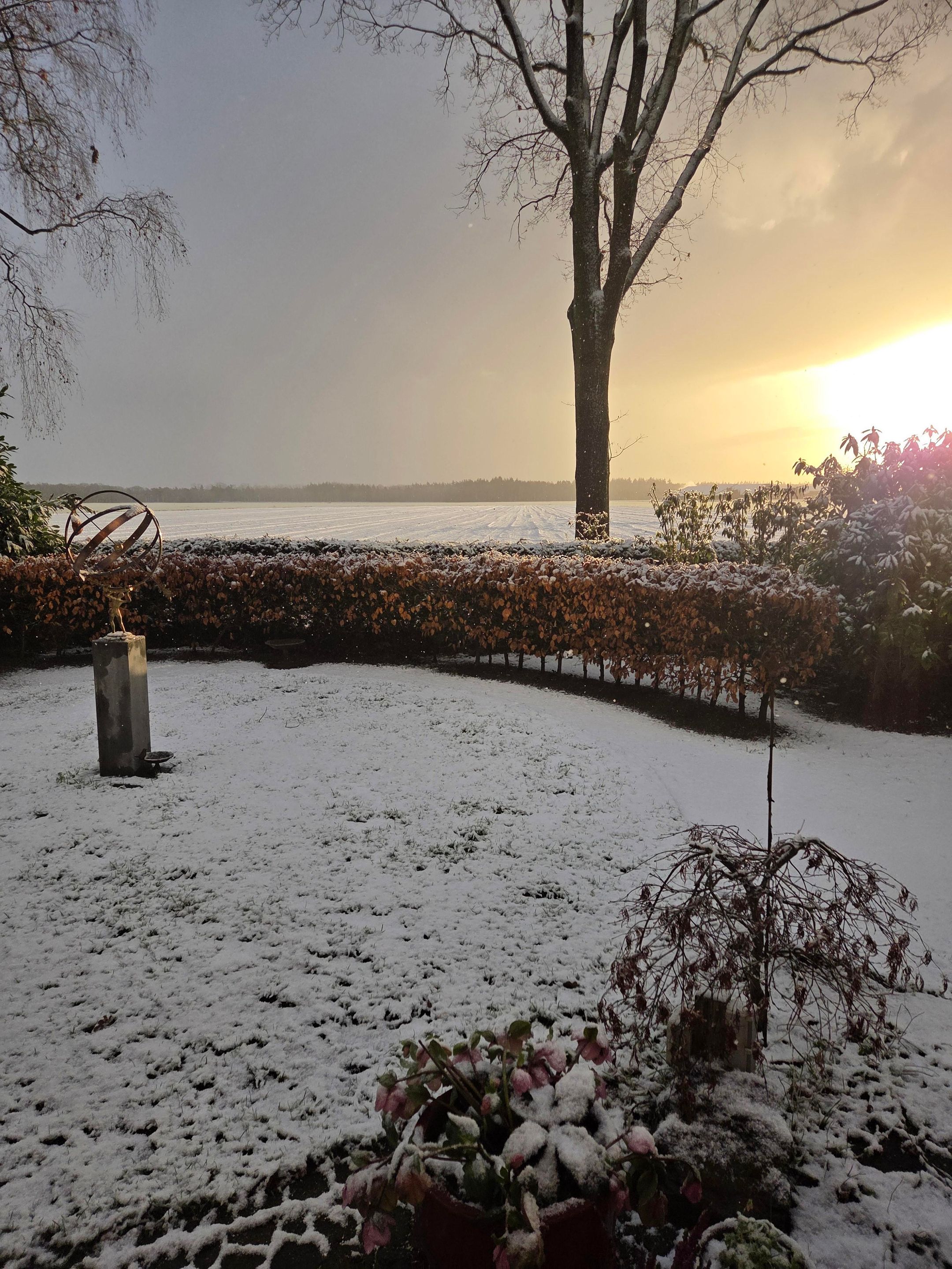 Photo 15 of De Stille Wille 323