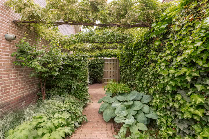 Foto 27 van Meerkikkerstraat 2