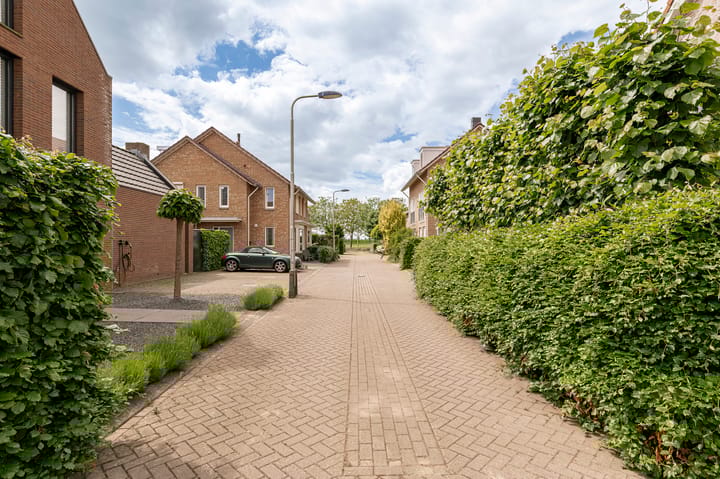 Foto 51 van Meerkikkerstraat 2