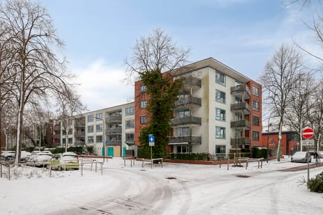 Asserstraat thumbnail