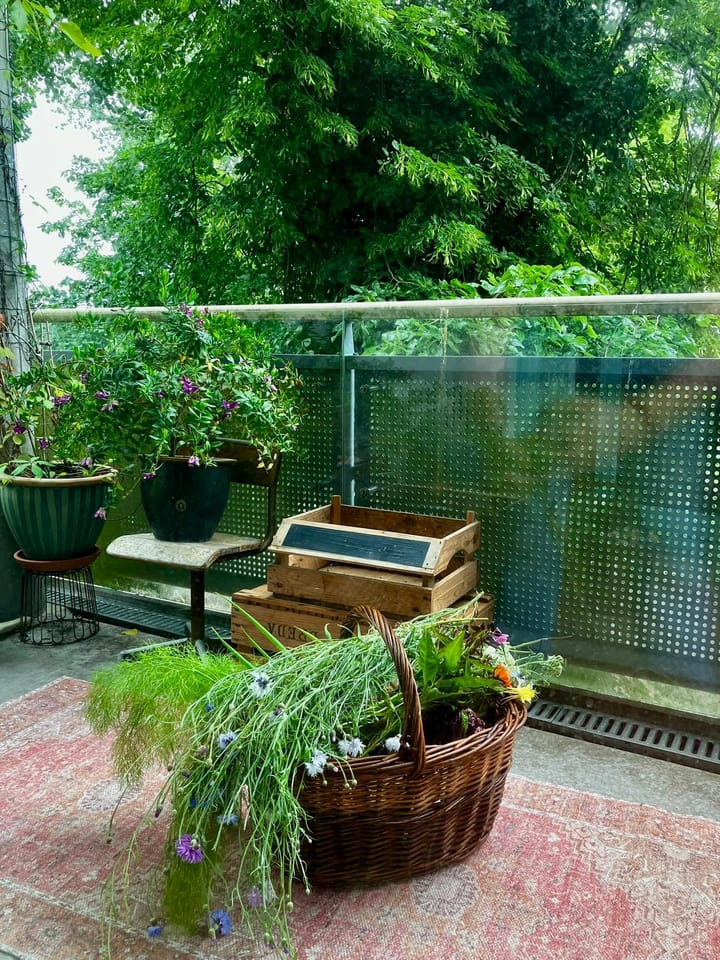 Foto 31 van Asserstraat 94