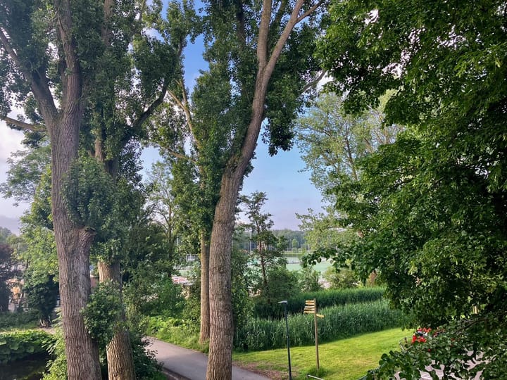 Foto 34 van Asserstraat 94