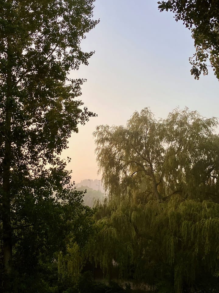 Foto 36 van Asserstraat 94