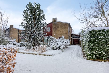 undefined main image